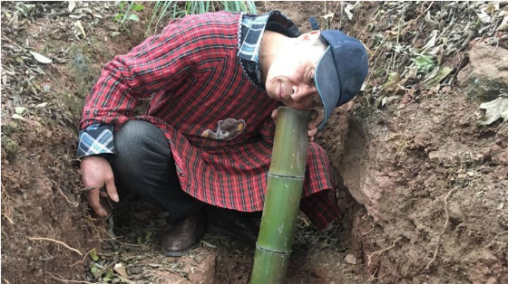老人藏山里造古琴 似現實版掃地僧